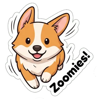 Zoomies!